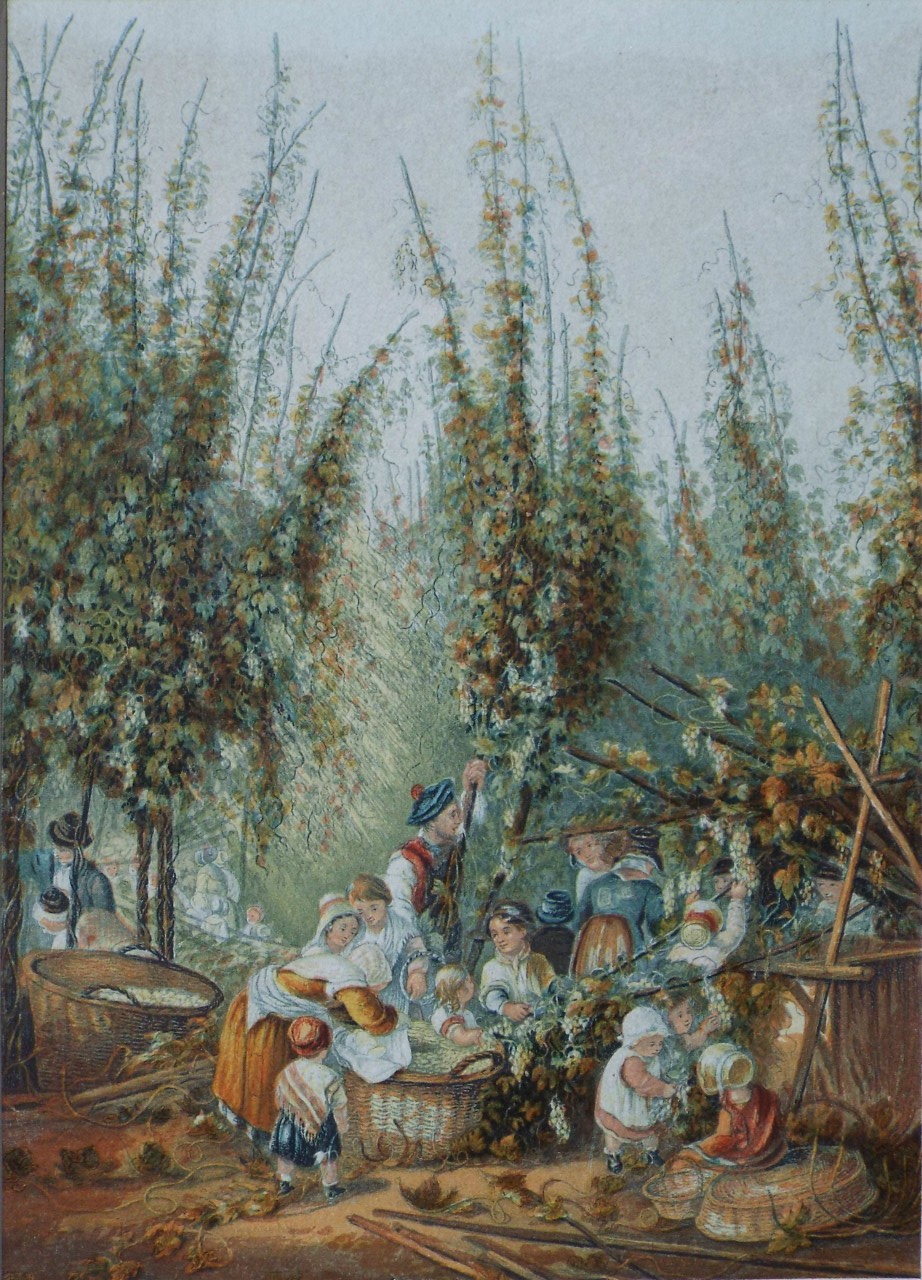 Baxter - The Hop Garden - Baxter